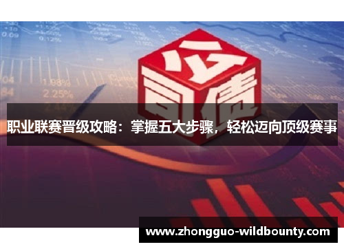 职业联赛晋级攻略：掌握五大步骤，轻松迈向顶级赛事