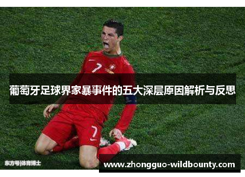 葡萄牙足球界家暴事件的五大深层原因解析与反思