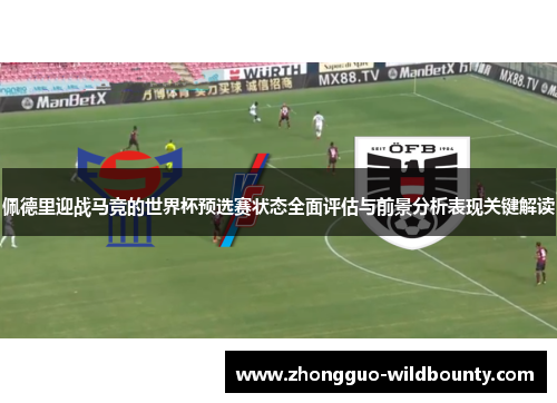 佩德里迎战马竞的世界杯预选赛状态全面评估与前景分析表现关键解读 佩德里迎战马竞的世界杯预选赛状态全面评估与前景分析表现关键解读
