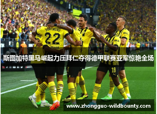 斯图加特黑马崛起力压拜仁夺得德甲联赛亚军惊艳全场