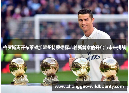 格罗斯离开布莱顿加盟多特蒙德标志着新篇章的开启与未来挑战