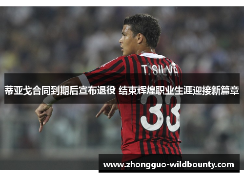 蒂亚戈合同到期后宣布退役 结束辉煌职业生涯迎接新篇章 蒂亚戈合同到期后宣布退役 结束辉煌职业生涯迎接新篇章
