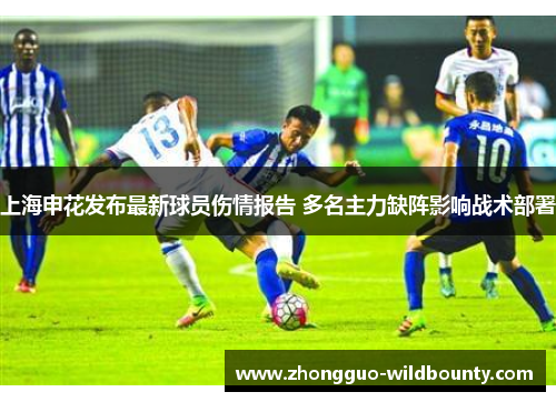 上海申花发布最新球员伤情报告 多名主力缺阵影响战术部署 上海申花发布最新球员伤情报告 多名主力缺阵影响战术部署