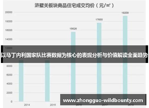 以马丁内利国家队比赛数据为核心的表现分析与价值解读全面趋势