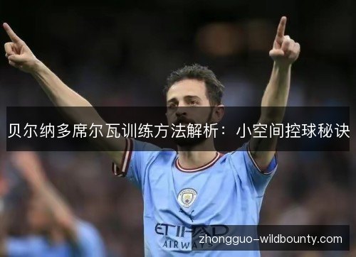 贝尔纳多席尔瓦训练方法解析:小空间控球秘诀 贝尔纳多席尔瓦训练方法解析:小空间控球秘诀