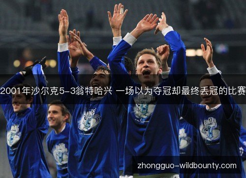 2001年沙尔克5-3翁特哈兴 一场以为夺冠却最终丢冠的比赛 2001年沙尔克5-3翁特哈兴 一场以为夺冠却最终丢冠的比赛
