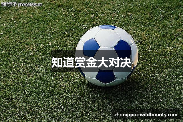 知道赏金大对决